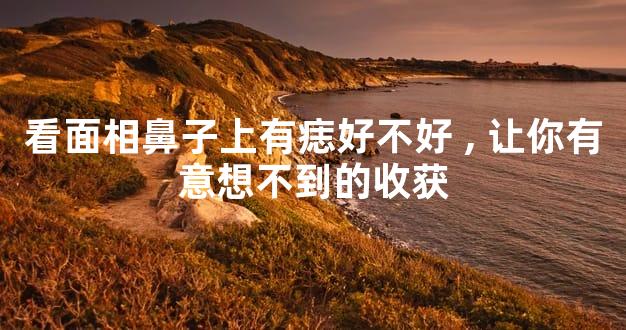 看面相鼻子上有痣好不好,让你有意想不到的收获